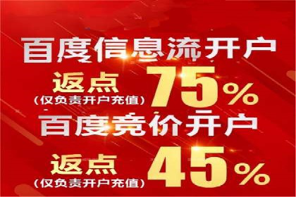 案例分析：SEM广告助力中小企业崛起